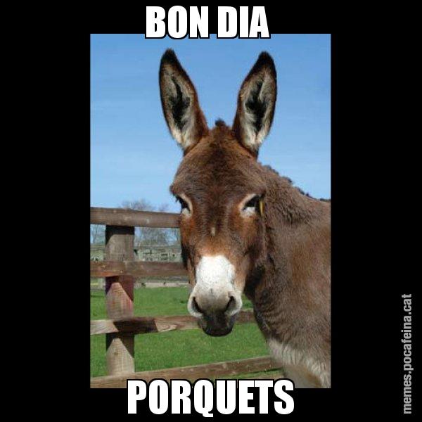 BON DIA  PORQUETS - El burro Català