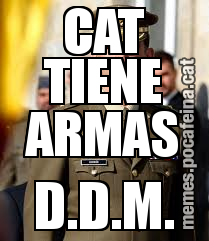 CAT TIENE ARMAS D.D.M.