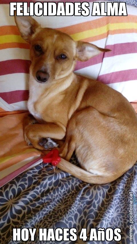FELICIDADES ALMA HOY HACES 4 AñOS