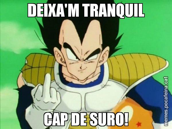 DEIXA'M TRANQUIL CAP DE SURO! - Vegeta
