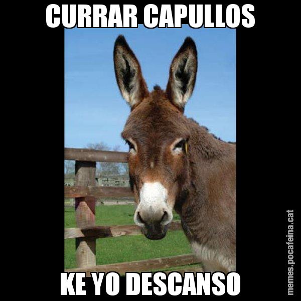 CURRAR CAPULLOS KE YO DESCANSO - El burro Català