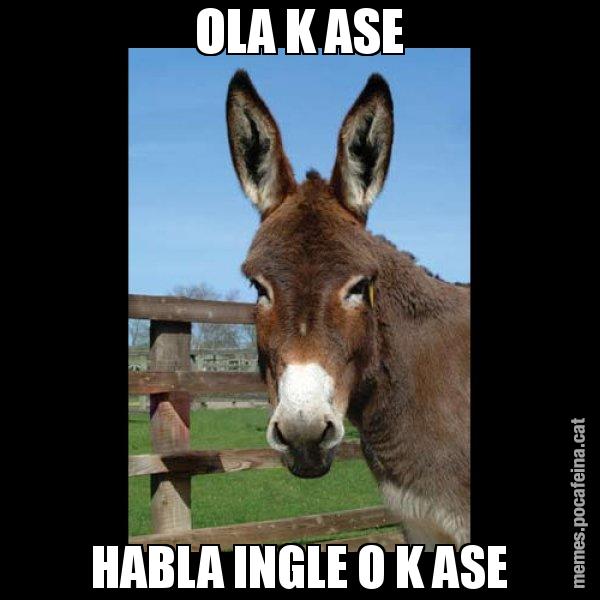 OLA K ASE HABLA INGLE O K ASE - El burro Català
