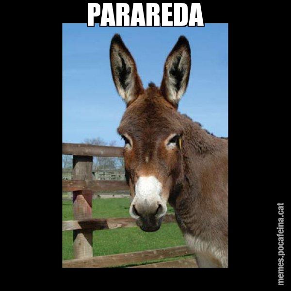 PARAREDA - El burro Català