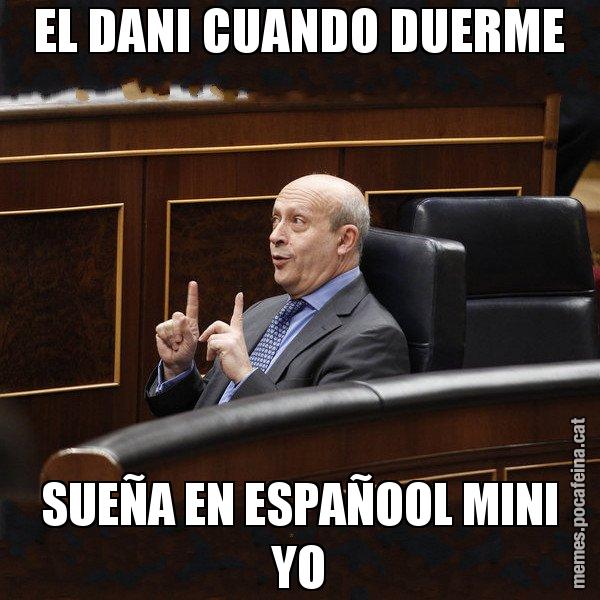 EL DANI CUANDO DUERME SUEÑA EN ESPAÑOOL MINI YO - Ministre Wert