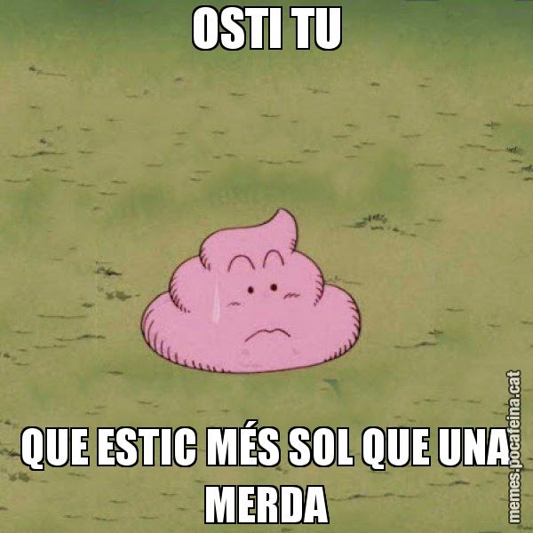 OSTI TU QUE ESTIC MÉS SOL QUE UNA MERDA - Caca