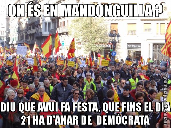ON ÉS EN MANDONGUILLA ? DIU QUE AVUI FA FESTA, QUE FINS EL DIA 21 HA D'ANAR DE  DEMÒCRATA