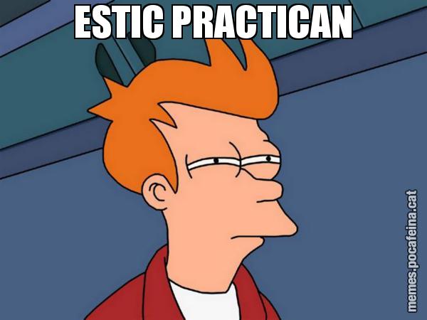 ESTIC PRACTICAN - Futurama Fry