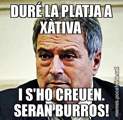 DURÉ LA PLATJA A XÀTIVA I S'HO CREUEN. SERAN BURROS!