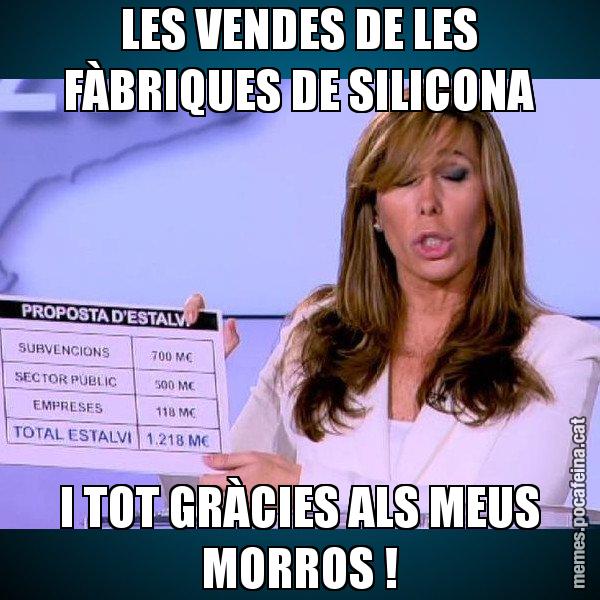 LES VENDES DE LES FÀBRIQUES DE SILICONA I TOT GRÀCIES ALS MEUS MORROS ! - Alícia Paper i Suma