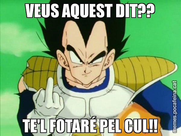 VEUS AQUEST DIT?? TE'L FOTARÉ PEL CUL!! - Vegeta