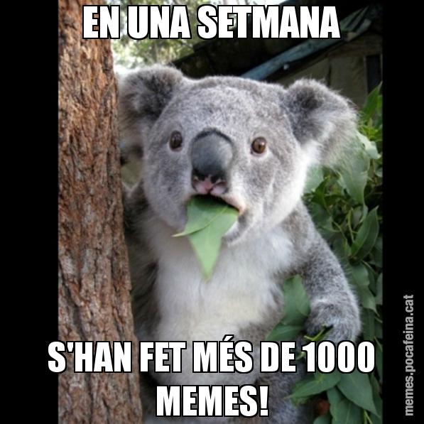 EN UNA SETMANA S'HAN FET MÉS DE 1000 MEMES! - Koala Cant Believe It