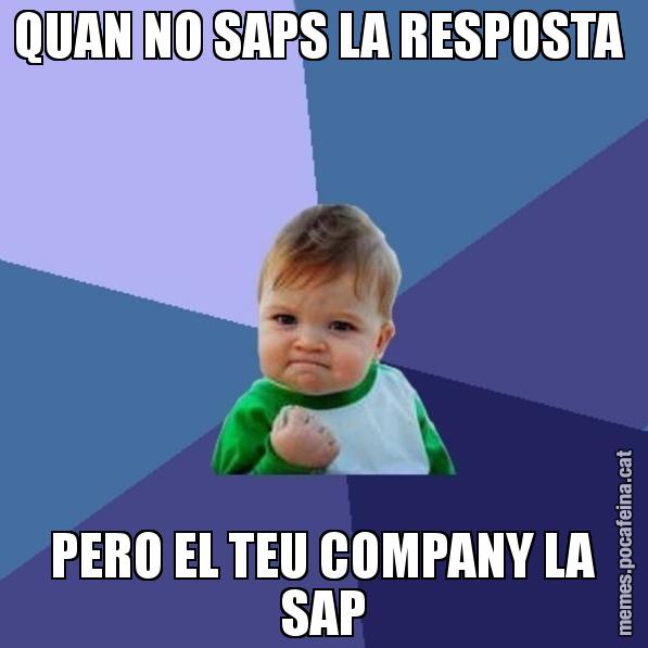 QUAN NO SAPS LA RESPOSTA  PERO EL TEU COMPANY LA SAP - Success Kid