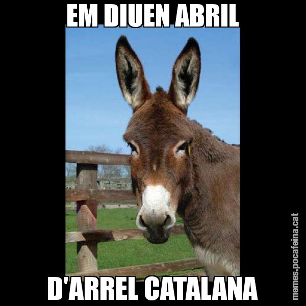 EM DIUEN ABRIL D'ARREL CATALANA - El burro Català