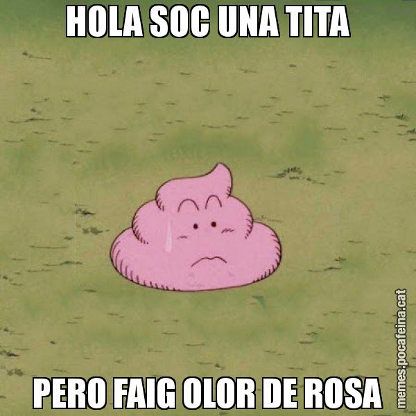 HOLA SOC UNA TITA PERO FAIG OLOR DE ROSA - Caca