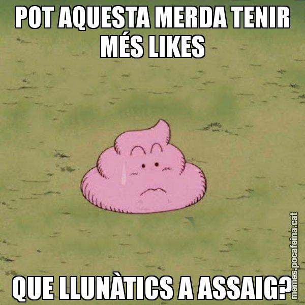 POT AQUESTA MERDA TENIR MÉS LIKES QUE LLUNÀTICS A ASSAIG? - Caca