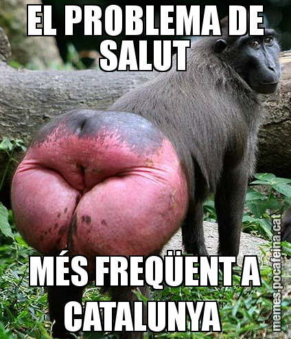 EL PROBLEMA DE SALUT MÉS FREQÜENT A CATALUNYA