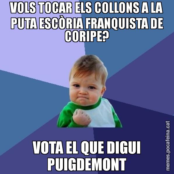 VOLS TOCAR ELS COLLONS A LA PUTA ESCÒRIA FRANQUISTA DE CORIPE? VOTA EL QUE DIGUI PUIGDEMONT - Success Kid