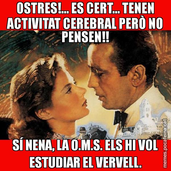 OSTRES!... ES CERT... TENEN ACTIVITAT CEREBRAL PERÒ NO PENSEN!! SÍ NENA, LA O.M.S. ELS HI VOL ESTUDIAR EL VERVELL.