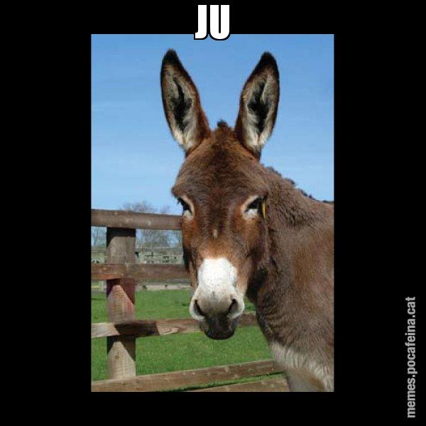JU - El burro Català