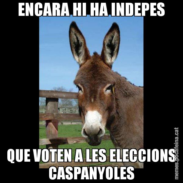 ENCARA HI HA INDEPES QUE VOTEN A LES ELECCIONS CASPANYOLES - El burro Català