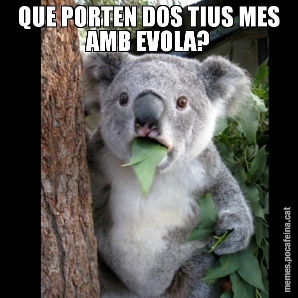 QUE PORTEN DOS TIUS MES AMB EVOLA? - Koala Cant Believe It
