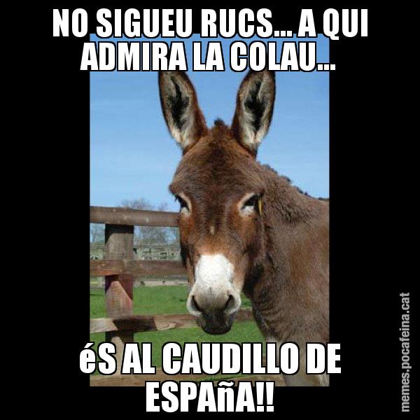 NO SIGUEU RUCS... A QUI ADMIRA LA COLAU... éS AL CAUDILLO DE ESPAñA!! - El burro Català