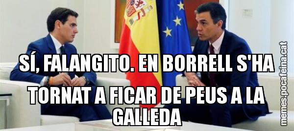SÍ, FALANGITO. EN BORRELL S'HA TORNAT A FICAR DE PEUS A LA GALLEDA