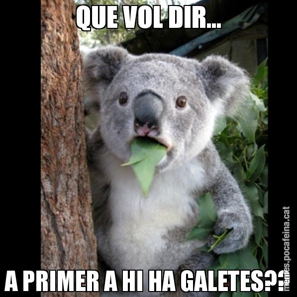 QUE VOL DIR... A PRIMER A HI HA GALETES?? - Koala Cant Believe It