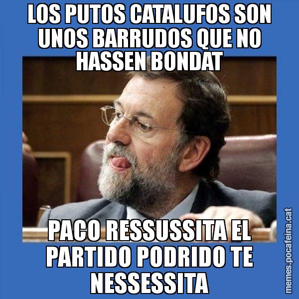 LOS PUTOS CATALUFOS SON UNOS BARRUDOS QUE NO HASSEN BONDAT PACO RESSUSSITA EL PARTIDO PODRIDO TE NESSESSITA - Mmmmmariano Rajoy