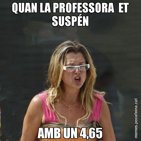 QUAN LA PROFESSORA  ET SUSPÉN AMB UN 4,65 - Anna Tarrés
