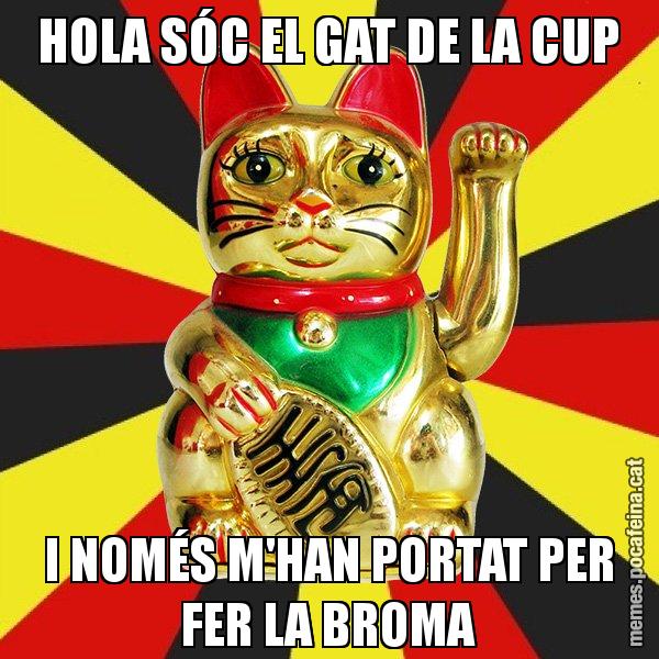HOLA SÓC EL GAT DE LA CUP I NOMÉS M'HAN PORTAT PER FER LA BROMA - El Gat de la Cup - 27S