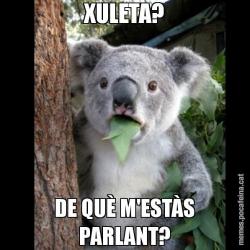 XULETA? DE QUÈ M'ESTÀS PARLANT?