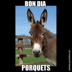BON DIA  PORQUETS