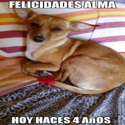 FELICIDADES ALMA HOY HACES 4 AñOS