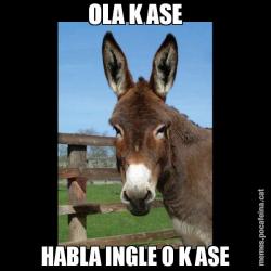 OLA K ASE HABLA INGLE O K ASE