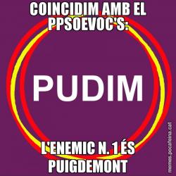 COINCIDIM AMB EL PPSOEVOC'S: L'ENEMIC N. 1 ÉS PUIGDEMONT