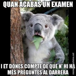 QUAN ACABAS UN EXAMEN I ET DONES COMPTE DE QUE N' HI HA MÉS PREGUNTES AL DARRERA