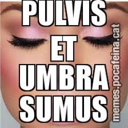 PULVIS ET UMBRA SUMUS