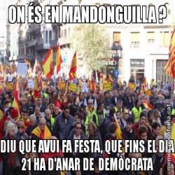 ON ÉS EN MANDONGUILLA ? DIU QUE AVUI FA FESTA, QUE FINS EL DIA 21 HA D'ANAR DE  DEMÒCRATA