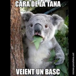 CARA DE LA TANA VEIENT UN BASC