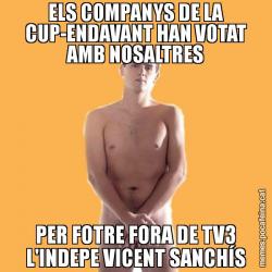 ELS COMPANYS DE LA CUP-ENDAVANT HAN VOTAT AMB NOSALTRES PER FOTRE FORA DE TV3 L'INDEPE VICENT SANCHÍS