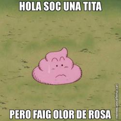 HOLA SOC UNA TITA PERO FAIG OLOR DE ROSA