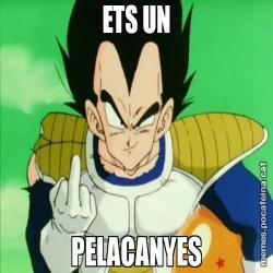 ETS UN PELACANYES