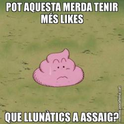 POT AQUESTA MERDA TENIR MÉS LIKES QUE LLUNÀTICS A ASSAIG?