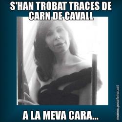 S'HAN TROBAT TRACES DE CARN DE CAVALL A LA MEVA CARA...