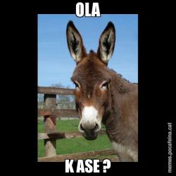 OLA K ASE ?