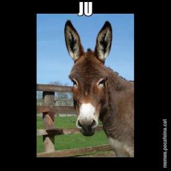 JU
