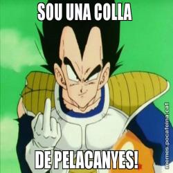 SOU UNA COLLA  DE PELACANYES!