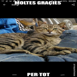 MOLTES GRAÇIES  PER TOT