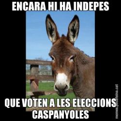 ENCARA HI HA INDEPES QUE VOTEN A LES ELECCIONS CASPANYOLES